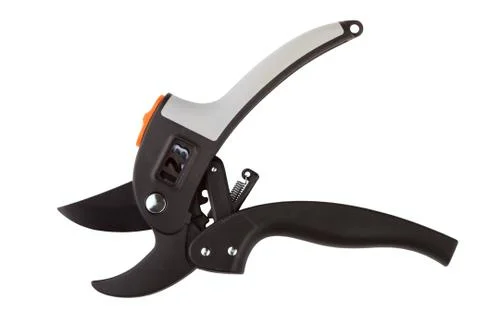 Garden secateurs Stock Photos