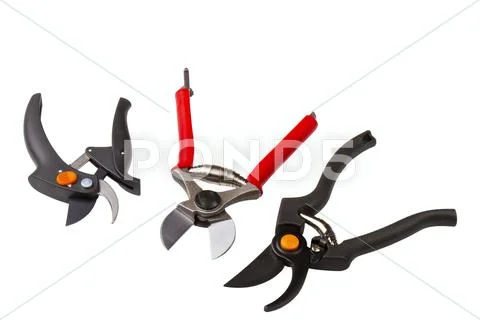 Garden secateurs Stock Photos