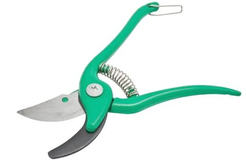 Garden secateurs Stock Photos