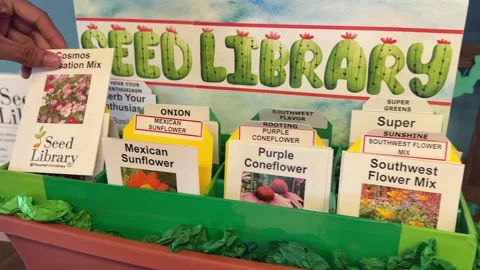 Garden Seed Library Stock Footage 326226714