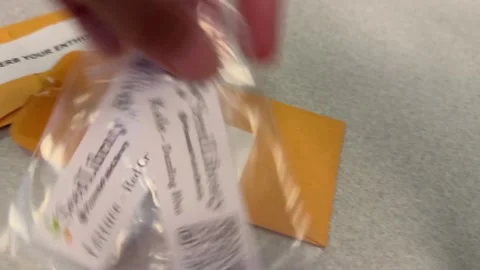 Garden Seed Library in Plastic Bag Stock Footage 341725295