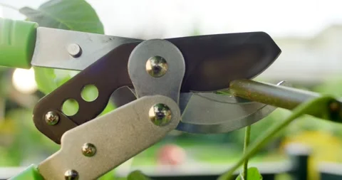 Garden Shears With Telescopic Handle Showing the Joint in Detail Stock-Footage 340294355