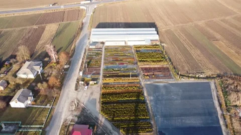 Garden shop Stock Footage 165646893