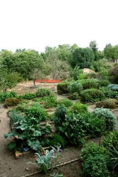 Garden of the simple Фото