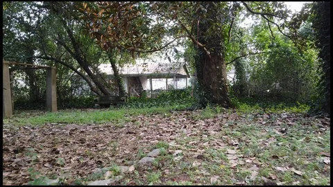 Garden slow push Stock-Footage 128854193