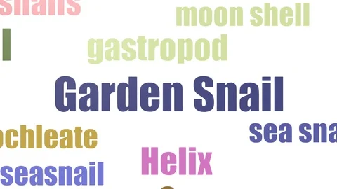 Garden Snail Word Cloud Animated Isolated On White Stock Footage 107243495