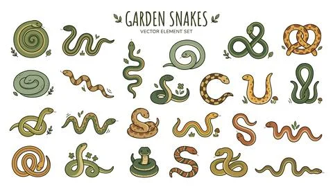 Garden snakes vector element set featuring assorted coiled reptiles in gree.. Stock Illustration