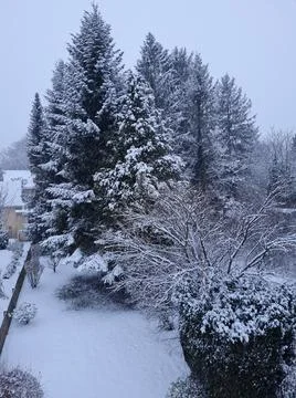 Garden with snow Stock Photos
