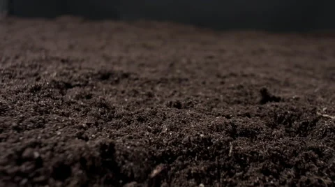 Garden soil background 4k | Stock Video | Pond5