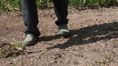 Garden soil care Stock Footage 127783427