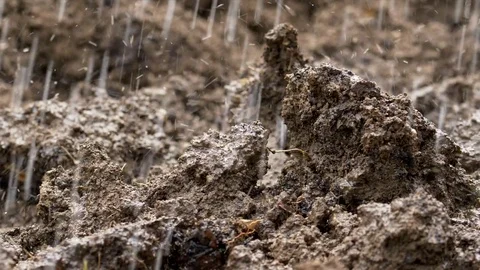 Garden soil in heavy rain Stock Footage 82718812
