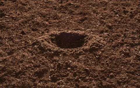 Garden soil Foto stock