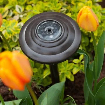 Garden solar light Stock Photos