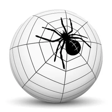 Garden Spider on White Sphere Illustrazione stock
