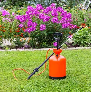 Garden Sprayer Stock Photos