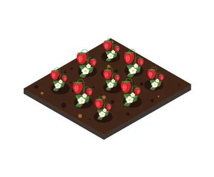 Garden in spring. Isometric icon set. Strawberry bed. Vector illustration Stock Illustration