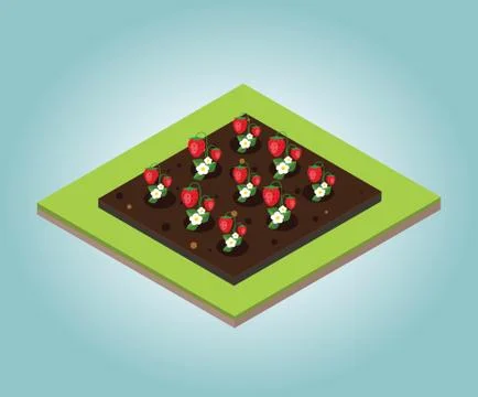 Garden in spring. Isometric icon set. Strawberry bed. Vector illustration Stock Illustration