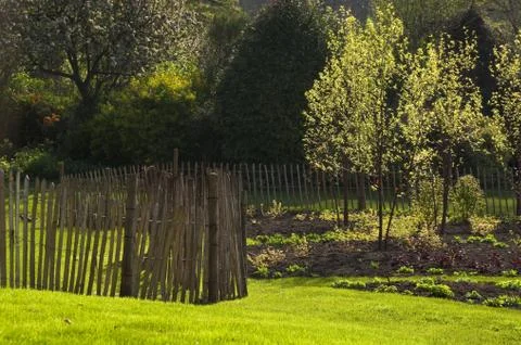 Garden in spring Stock Photos