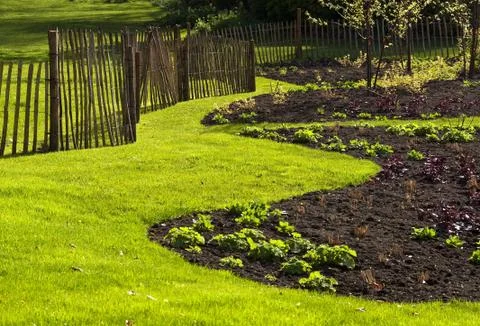 Garden in spring Foto stock