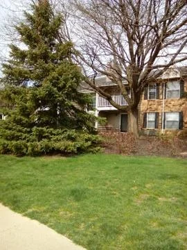 Garden in spring Stock Photos