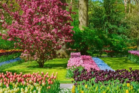 Garden at Spring Stock Photos