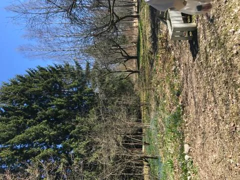 Garden in the Spring Stock Photos