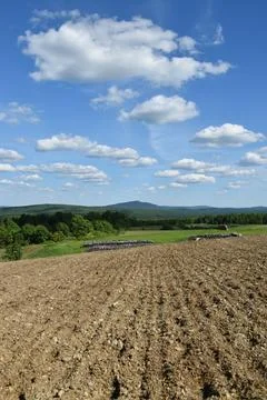 A garden in spring Stock Photos