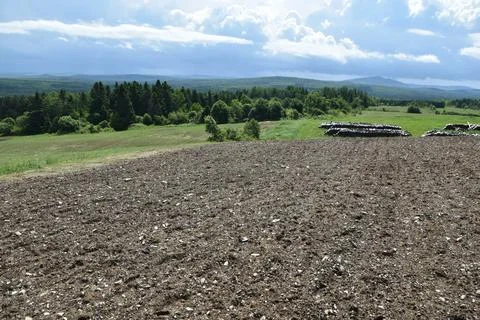 A garden in spring Stock Photos