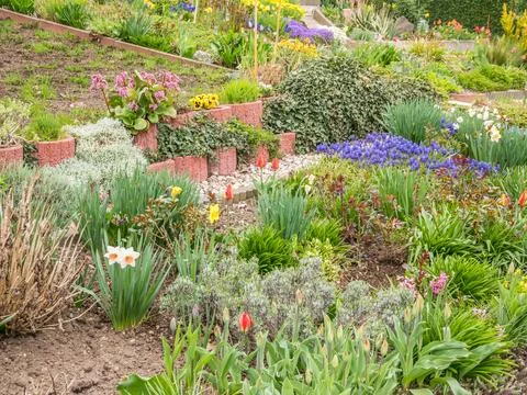 Garden in spring Stock Photos