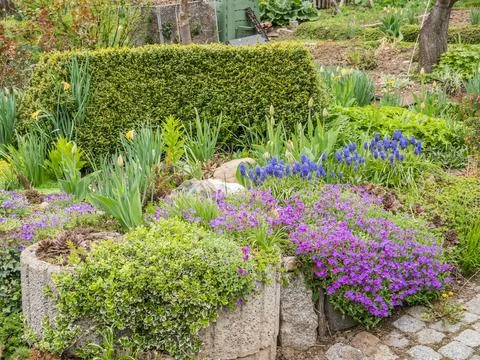 Garden in spring Stock Photos