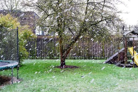 Garden in spring in winter 写真素材