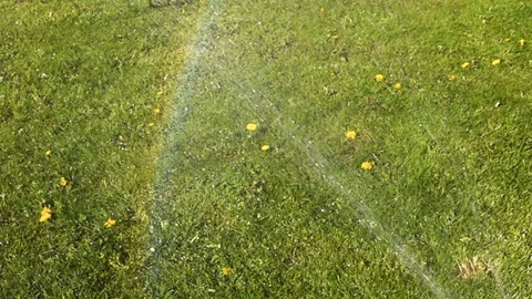 Garden Sprinkler Stock-Footage 89504057