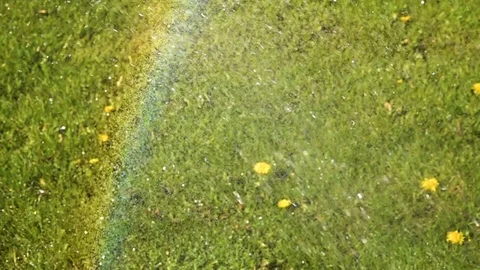 Garden Sprinkler Stock-Footage 89504081