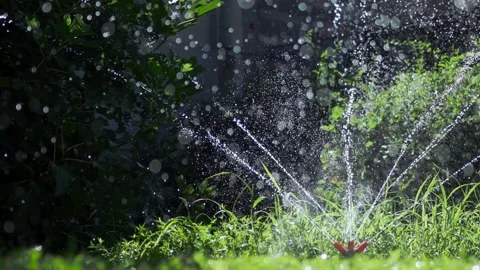 Garden Sprinkler Stock Footage 159004650