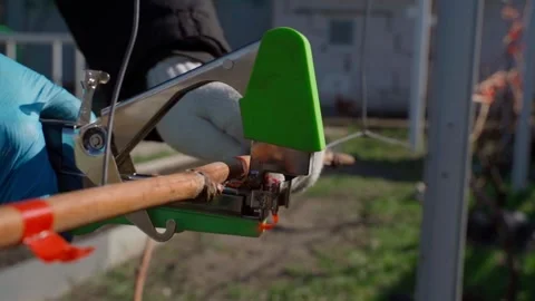 A garden stapler is used to tie up a vine without leaves, close up Video stock 311973142