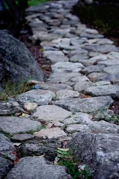 Garden Stone Path 스톡 사진