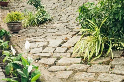 Garden stone path with red bricks, green grass and yellow flowers Stock Photos