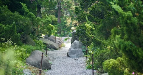 Garden Stone Pathway in the summer Stock Footage 90795931
