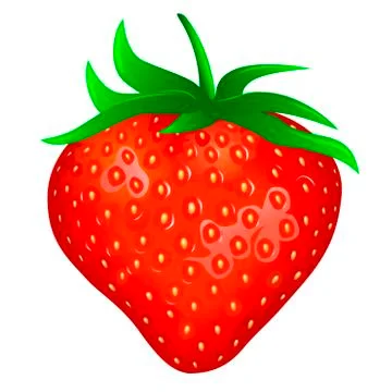 Garden strawberry Stock Illustration