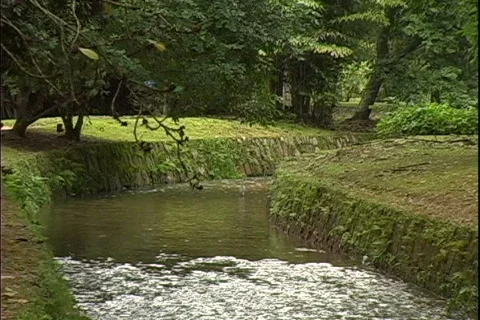 Garden Stream-zoom Video stock 817722