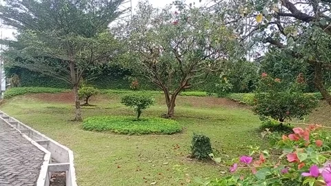 Garden in the street Stock Footage 219305780