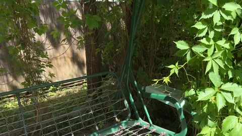 Garden Swing Under Lush Grapevine Pergola Before Summer Makeover 스톡 동영상 336600421