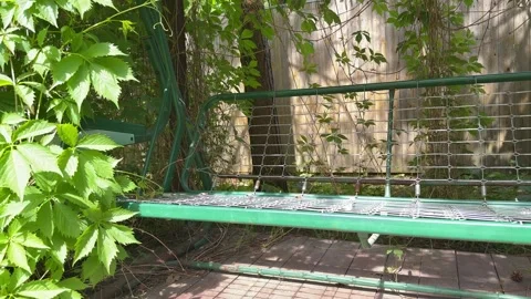 Garden Swing Under Lush Grapevine Pergola in Summer Backyard Stock-Footage 336607172