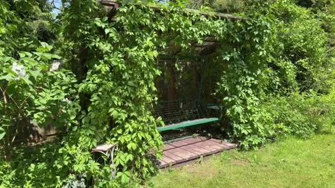 Garden Swing Under Lush Grapevine Pergola in Summer Backyard Stock Footage 336607339