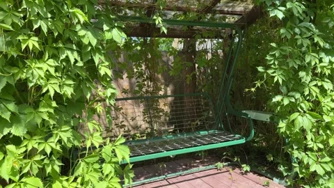 Garden Swing Under Lush Grapevine Pergola in Summer Backyard Video stock 336607374