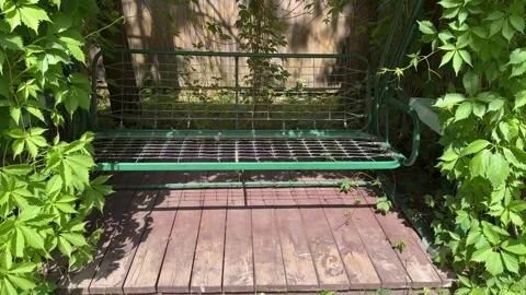 Garden Swing Under Lush Grapevine Pergola in Summer Backyard Vídeos de archivo 336607410