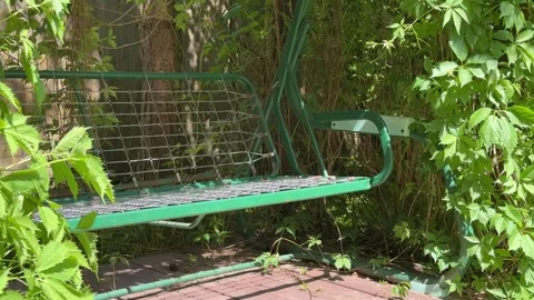 Garden Swing Under Lush Grapevine Pergola in Summer Backyard Video stock 336607789