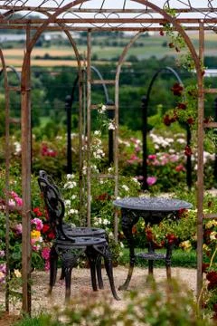 Garden table with chairs in beautiful roses Stock Photos