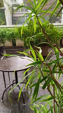Garden table in the middle of the rain. Stock Photos