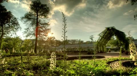 Garden Time Lapse Stock Footage 11876699